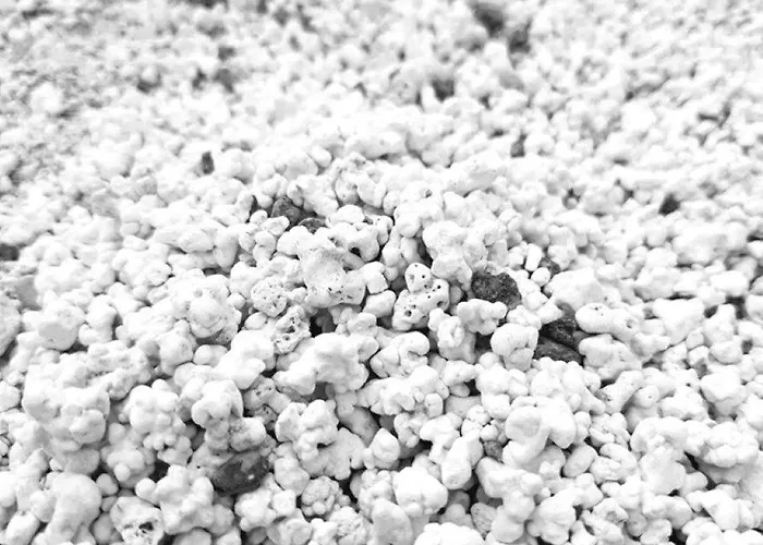 Casa Tasya Centre شقة