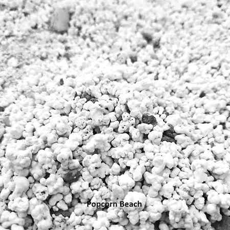 Casa Tasya Centre アパート